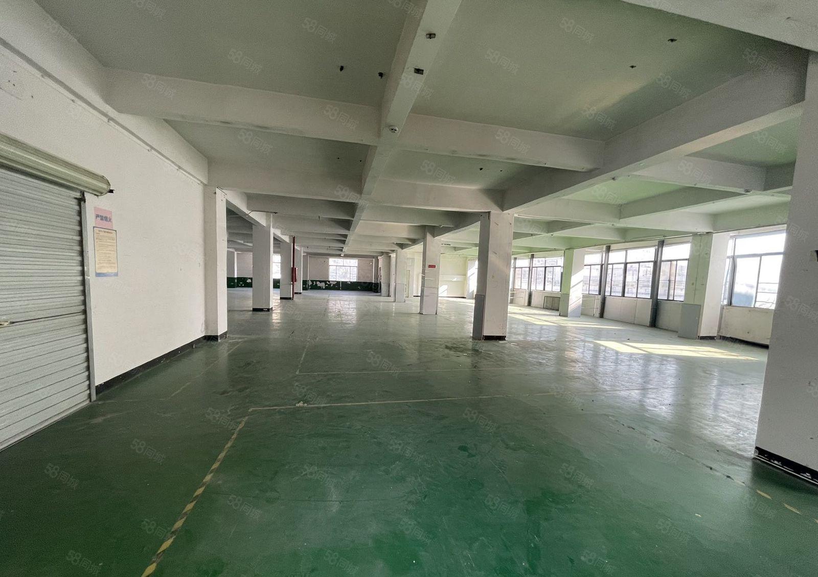 宝安西乡 新出整层厂房1155平米 精装光线好 行业不限