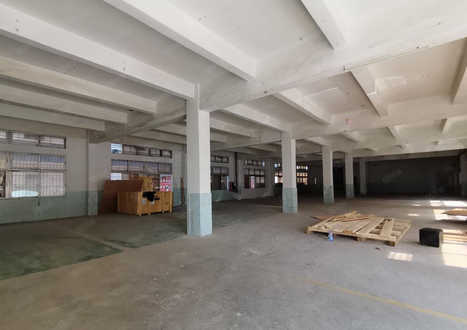 沙井高新区800平至5000平一二楼仓库厂房出租独院可分租