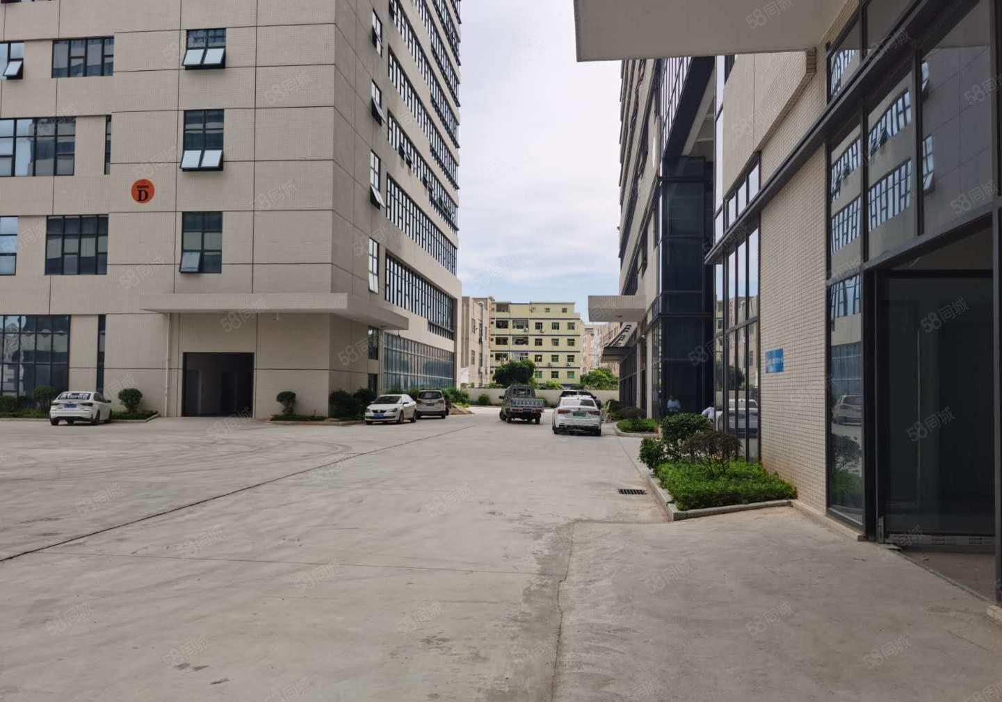 宝安新安地铁口双货梯，1000平可分租 5万办公电商科研展厅