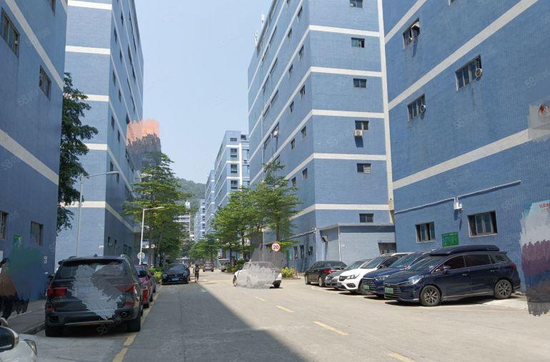 固戌原房东楼上精装修1050，1350，1800，3500平