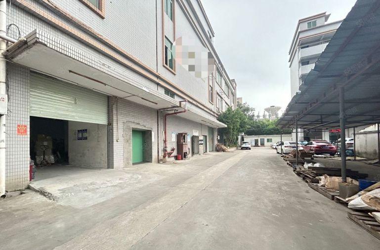 沙井大王山一楼500平，带牛角，高6.5米，可架行车