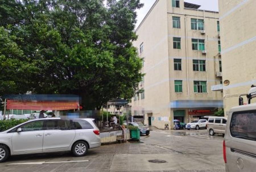 石岩水田500平原房东厂房出租，高速口附近易招工空地大形象好