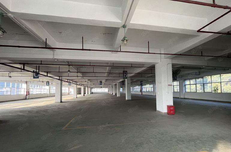 石岩地铁口 原房东独院实际面积10000平米 出租