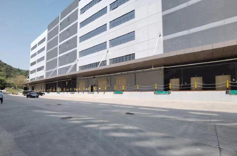 宝安洪浪北原房东整栋分租1500平精装全新红本仓库出租