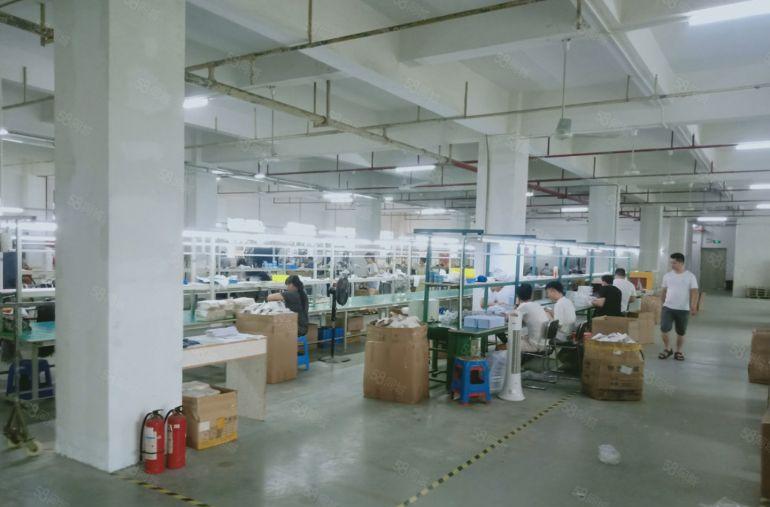 宝安松岗房东直租一楼厂房980平方出租带精装修办公室消防喷淋