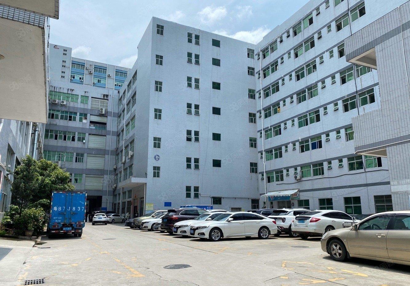 石岩龙大高速口楼上720平原房东精装修红本厂房出租