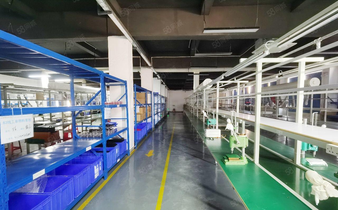 沙井九成新智造园整栋3300平实际面积出租共两栋可分租