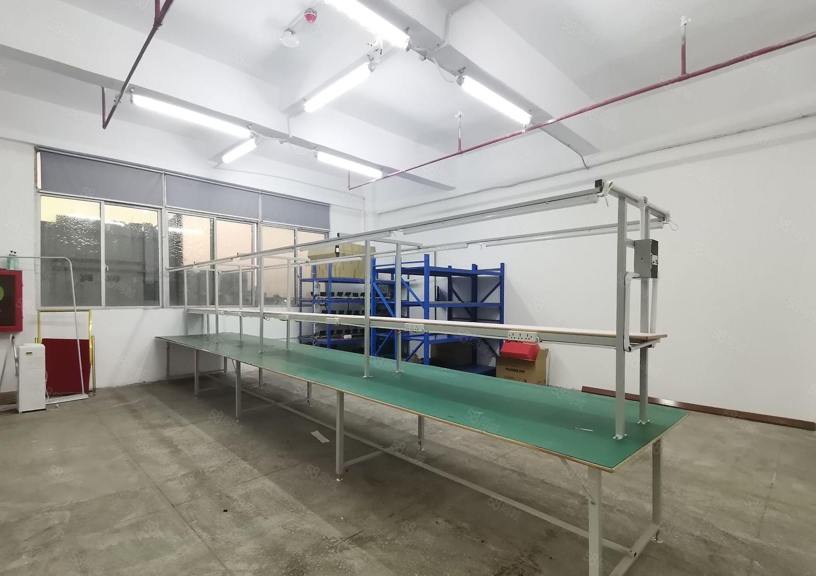 600平起石岩厂房出租南岗工业园区600平电商贸易仓库整租