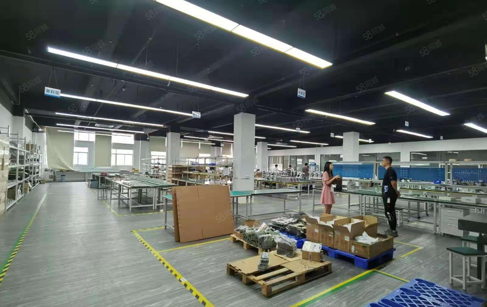 福永桥头独院原房东实际面积5000平米精装修厂房出租