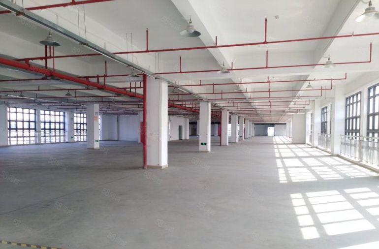 松岗200平500平厂房电商办公小加工仓库厂房出租分租