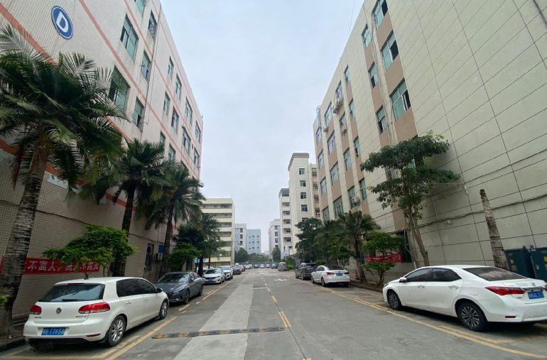 福永新和一楼低价厂房出租1000平可分租适合物流仓库加工等