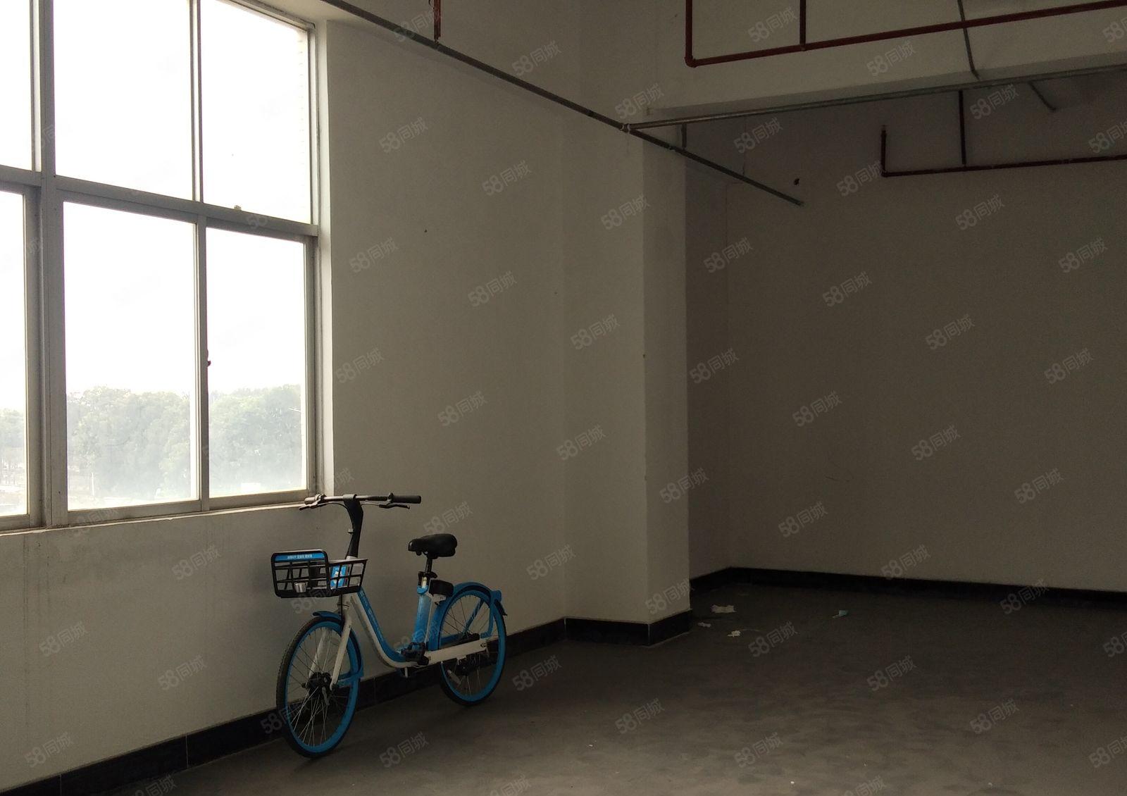 西乡村委无公摊 一手厂房1500平