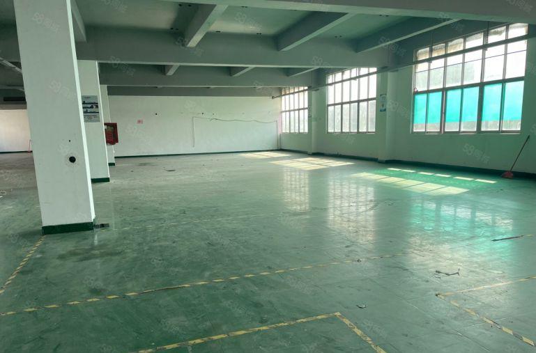 1500平方南环路边精装修厂房出租价格便宜适合各种行业