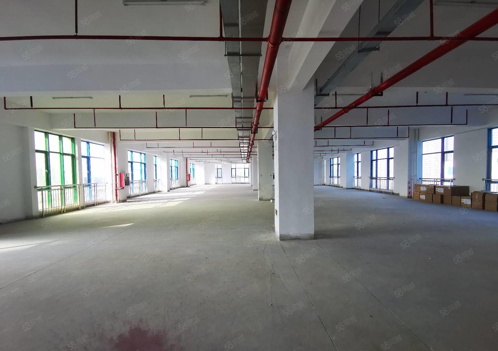 宝安石岩大型工业区原房东红本实际面积2000平厂房出租