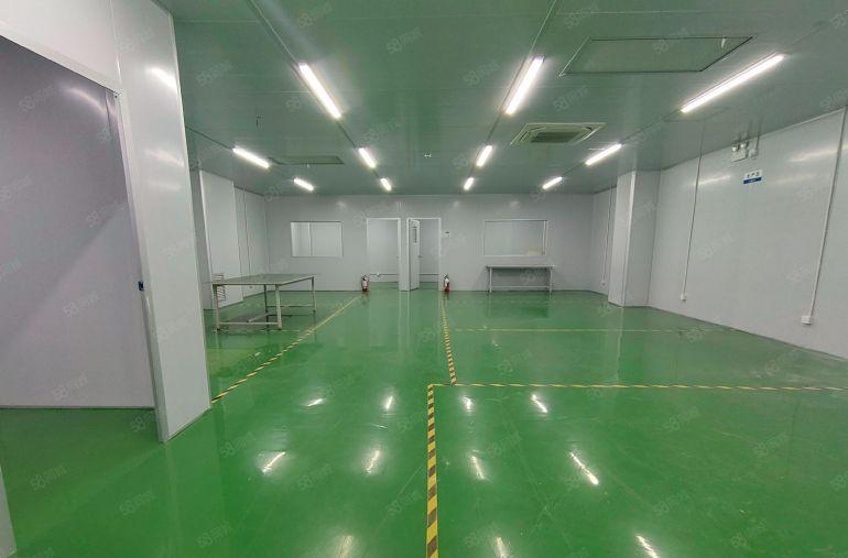 直租。西乡九围，鹤洲恒丰工业城附近，300平无尘车间厂房出租