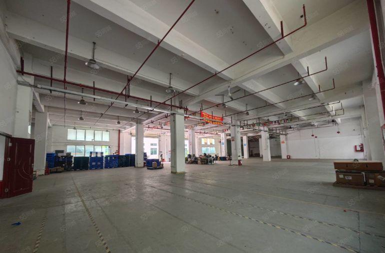 39元起福永地铁口一楼500平物流仓库出租厂房出租可分租