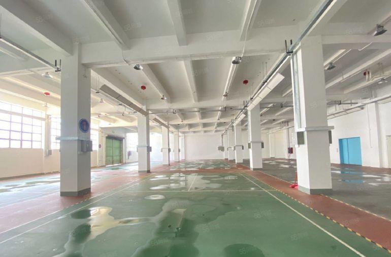 低价村委厂房 西乡固戍8000平方精装修高新园区地铁口空地大