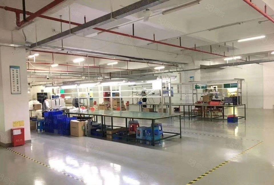 沙井后亭地铁口厂房楼上2000平精装修招租出租