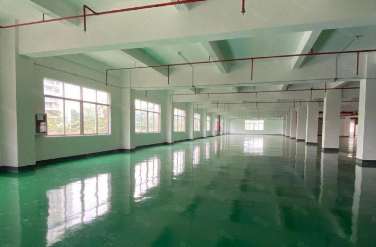 超大空地红本独院西乡新出红本独院厂房15000平方出租可分租