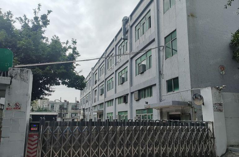 沙井新桥高速路口附近9000平米独门独院厂房出租