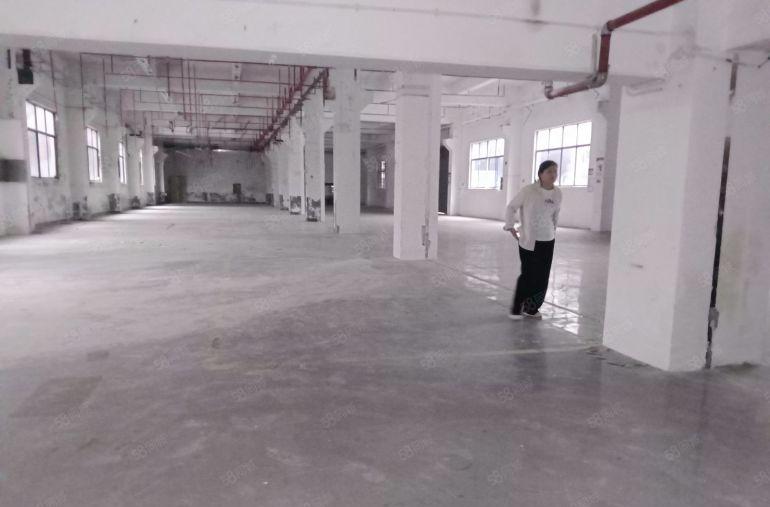 独门独院厂房来了！西乡107国道附近独院3750平共三栋！