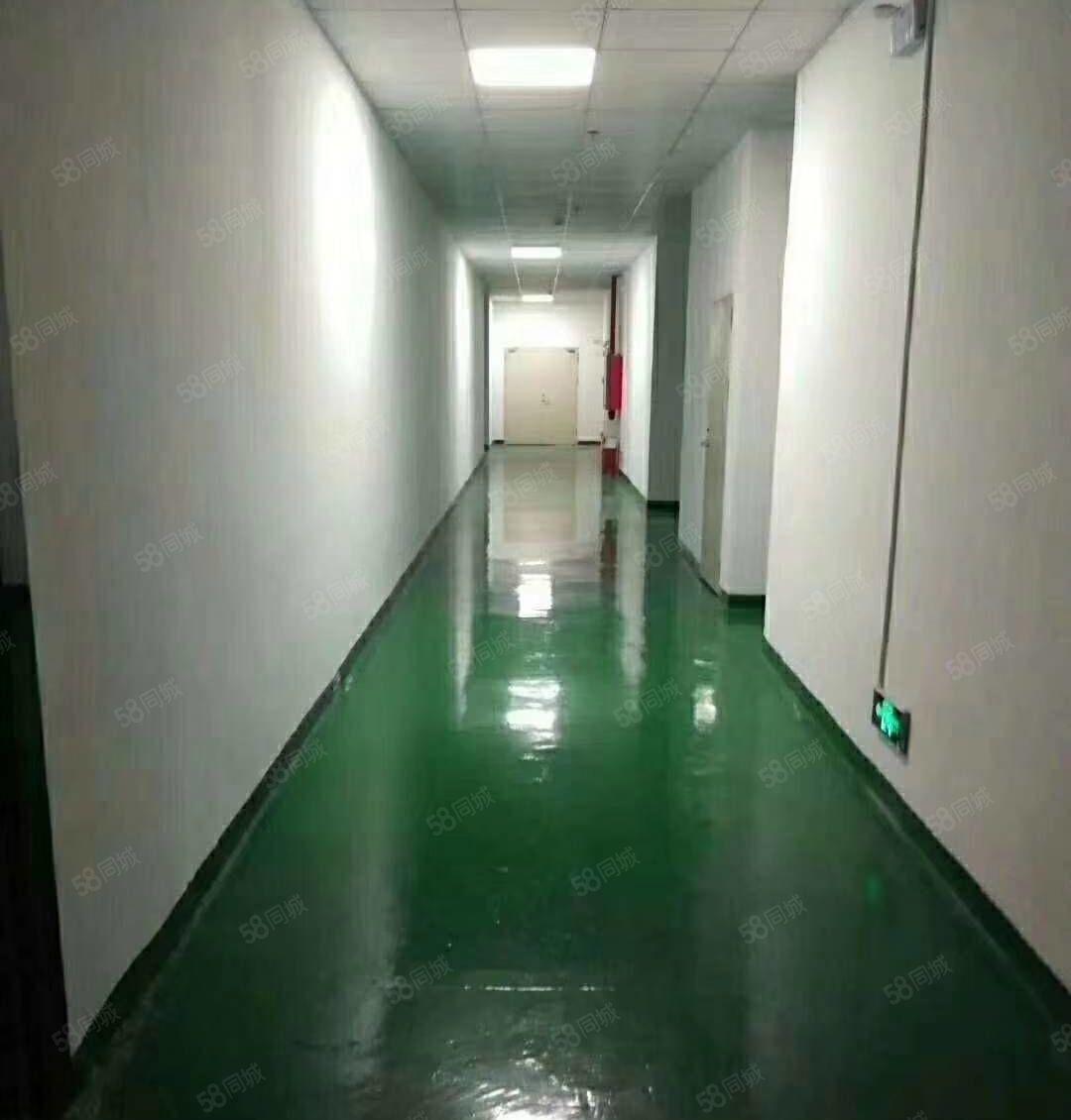 九围勒竹角700平米带装修无尘车间电子厂厂房出租