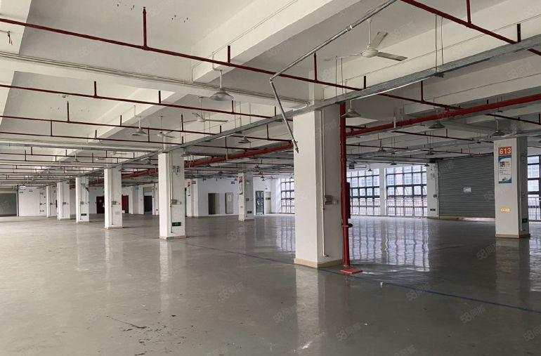 松岗谭头高新园区整层2000平原房东低价厂房仓库出租带装修