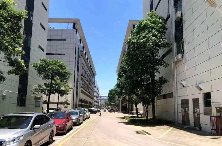 福永桥头新出豪华装修厂房2400平米高新园区