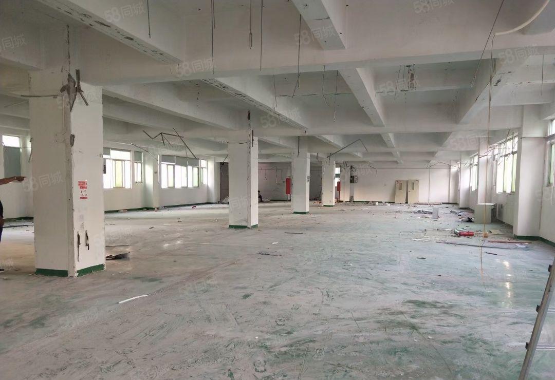 西乡固戍重工业独院厂房十仓库一楼2300平28元1平可进大车