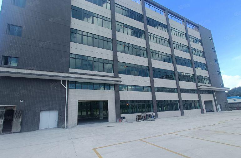 沙井新天虹附近沙一村独门独院厂房8000平方出租500起分租