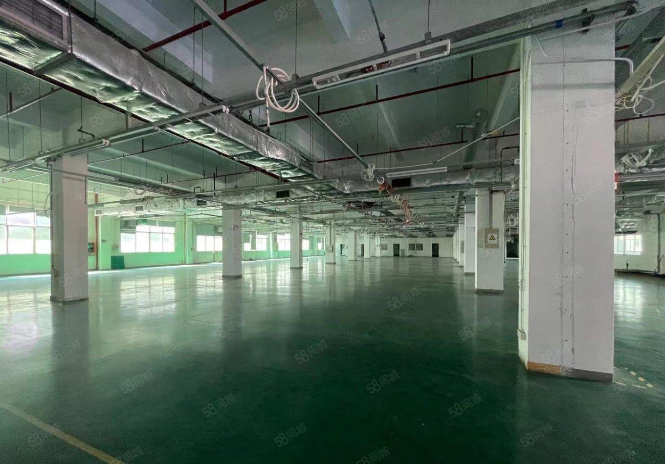 300平起分福永2000平厂房一二楼仓库出租24元起可办环评