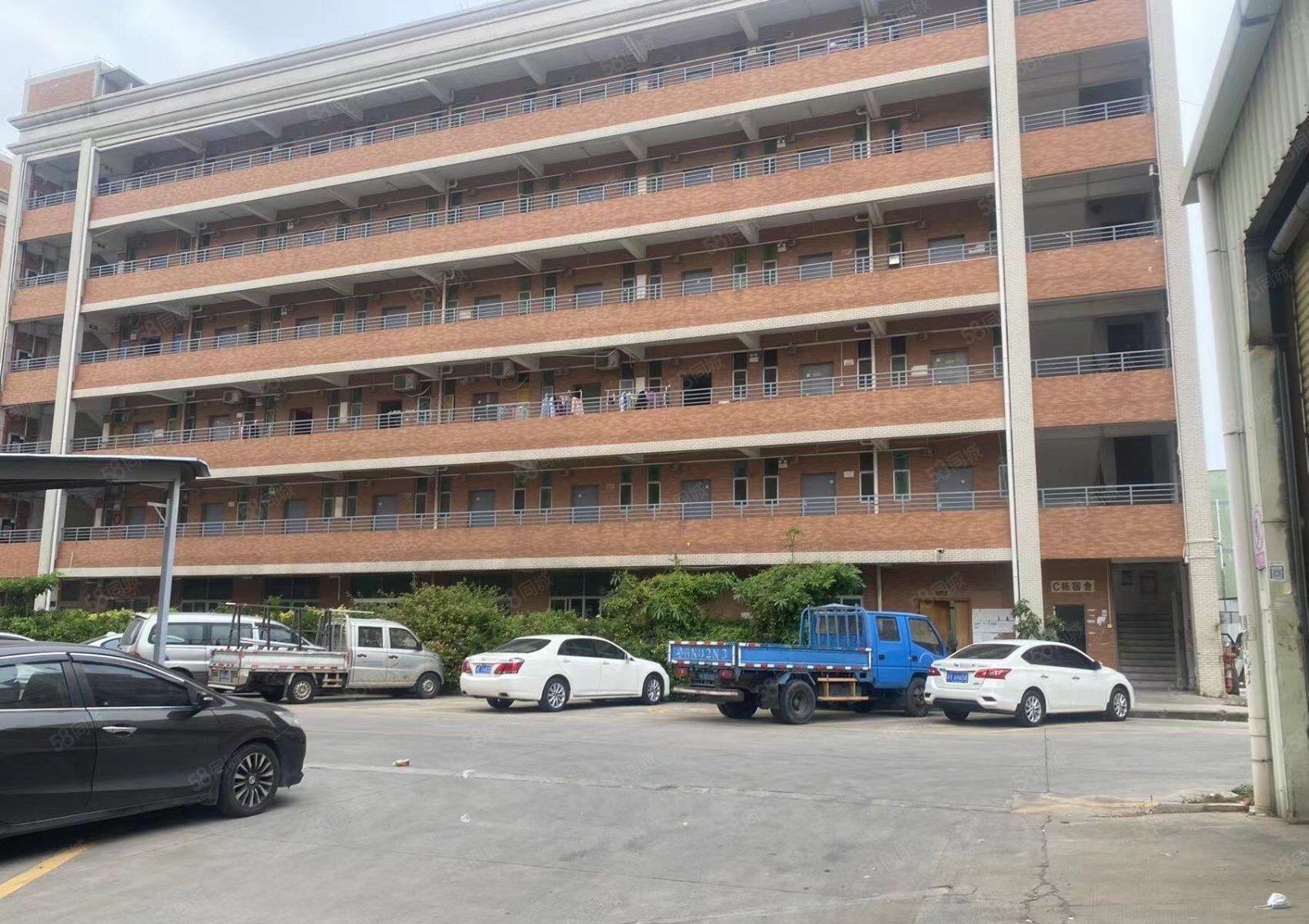 松岗107国道边一整栋宿舍5000平方出租