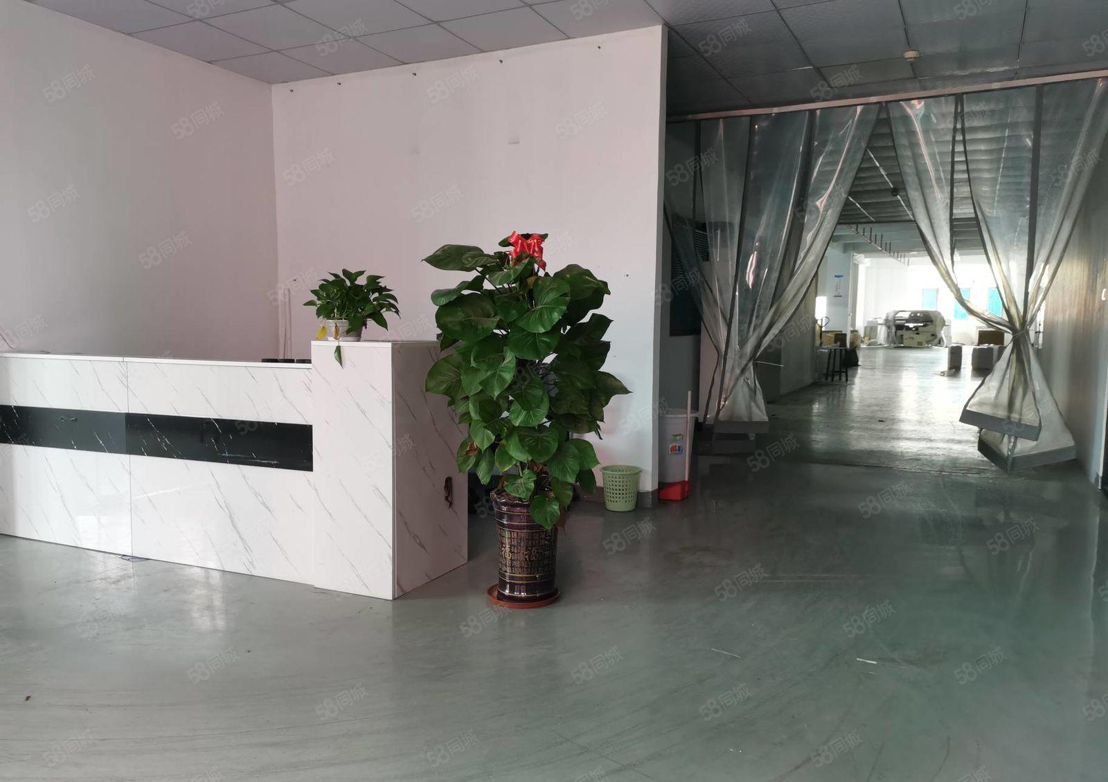 沙井原房东500平至3000平低价仓库厂房出租，带无尘车间