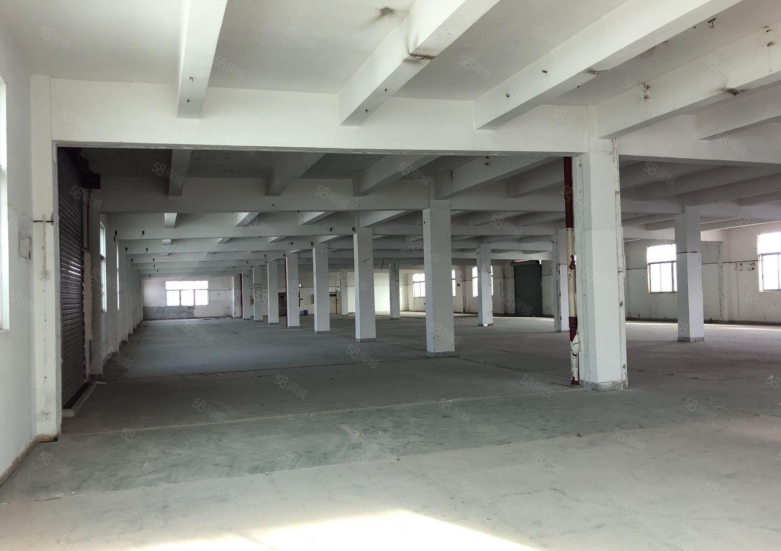 福永高速口6000平厂房仓库出租分租带装修独院厂房