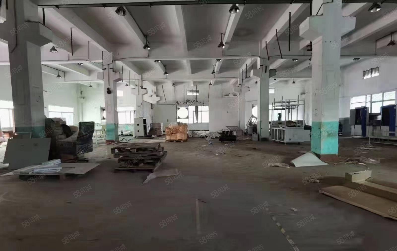 石岩汽车站一楼层高5米高厂房带牛角.装修厂房招租