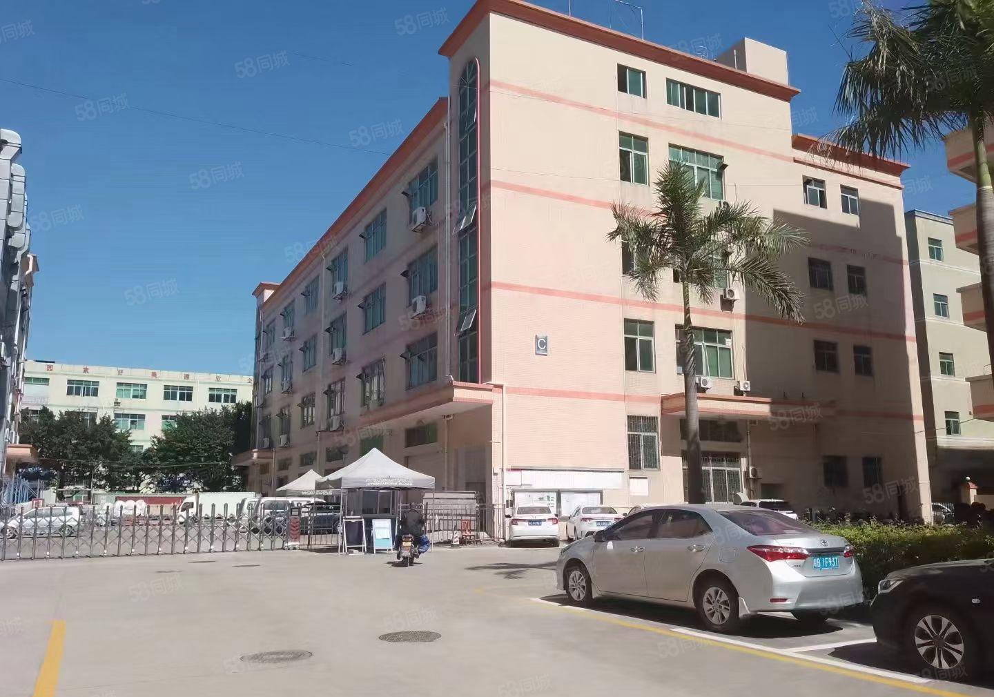 房东出租福永和平2楼1000平方