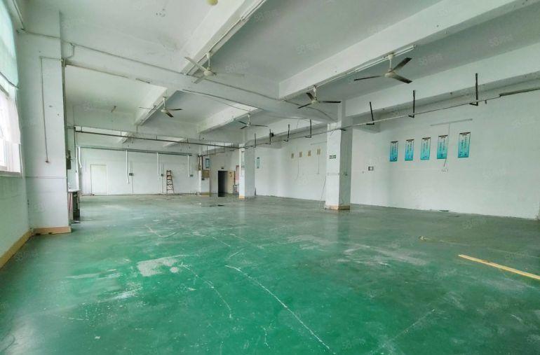 沙井后亭地铁口大型园区楼上精装修600平