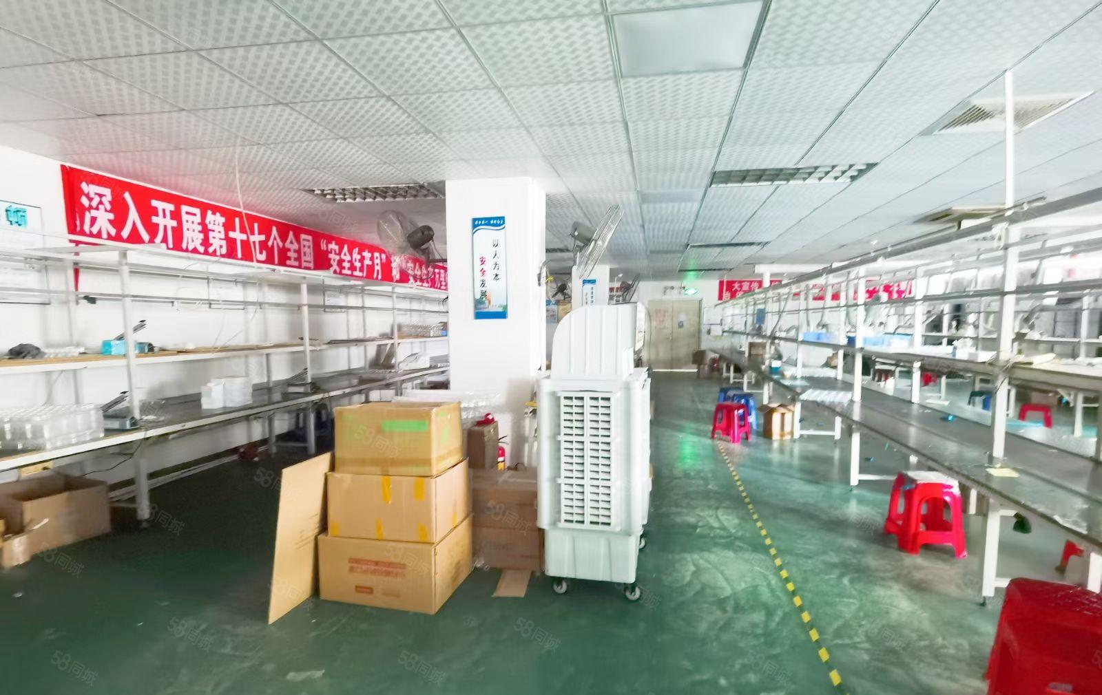 沙井西环路刚出900平方带流水线厂房出租不要转让费