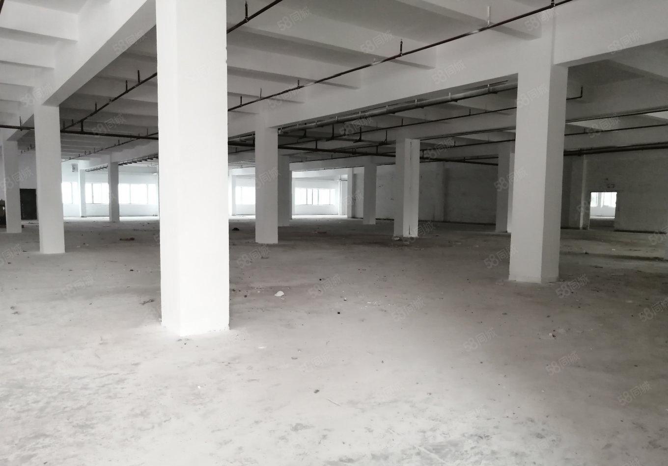 福永和平2000平原房东精装修厂房仓库出租大小可分租空地大