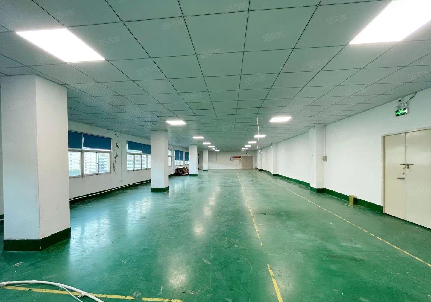 九围勒竹角2000平米带装修厂房出租