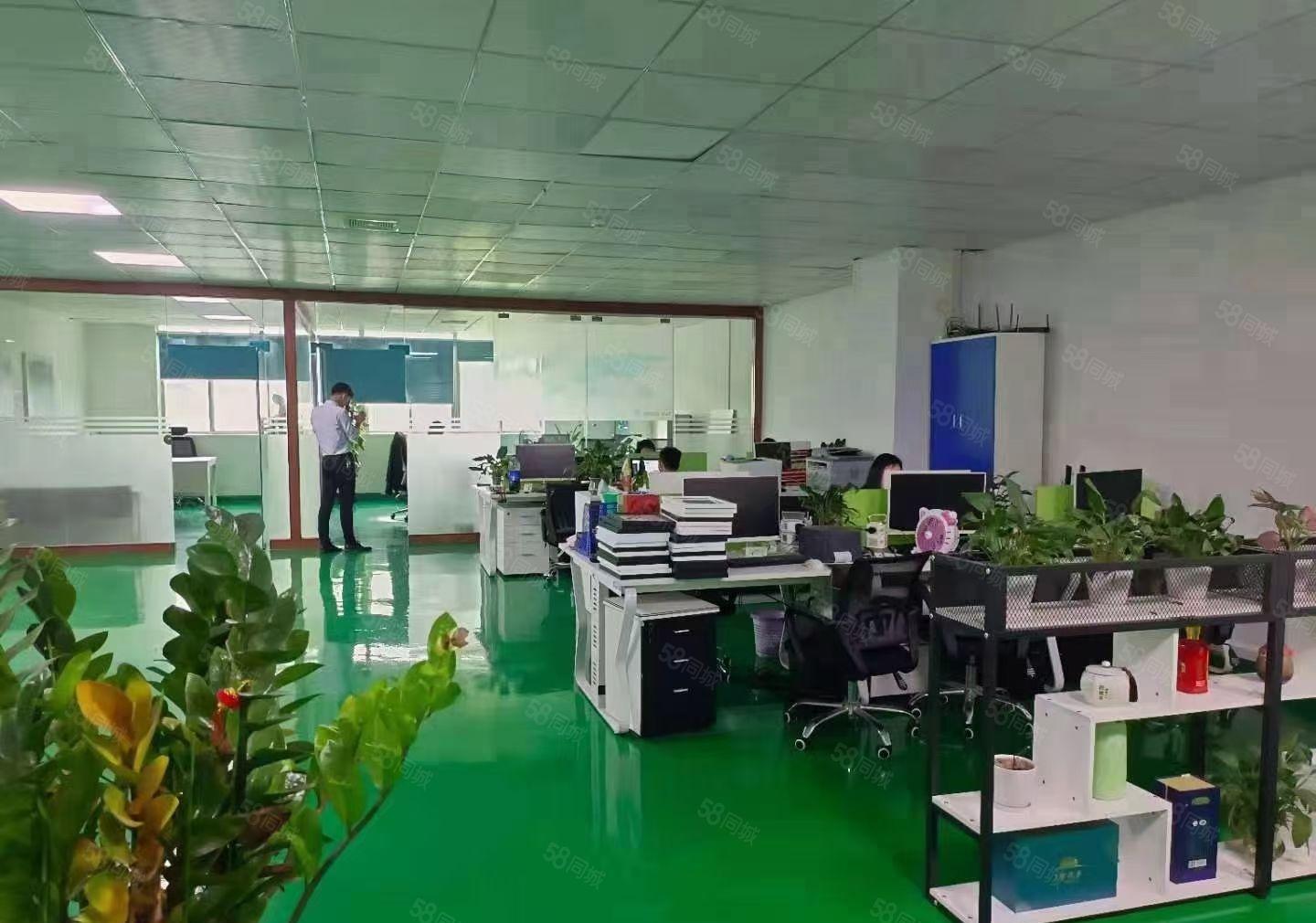 福永地铁口1000平方精装修厂房出租分租仓库招租独院无尘车间