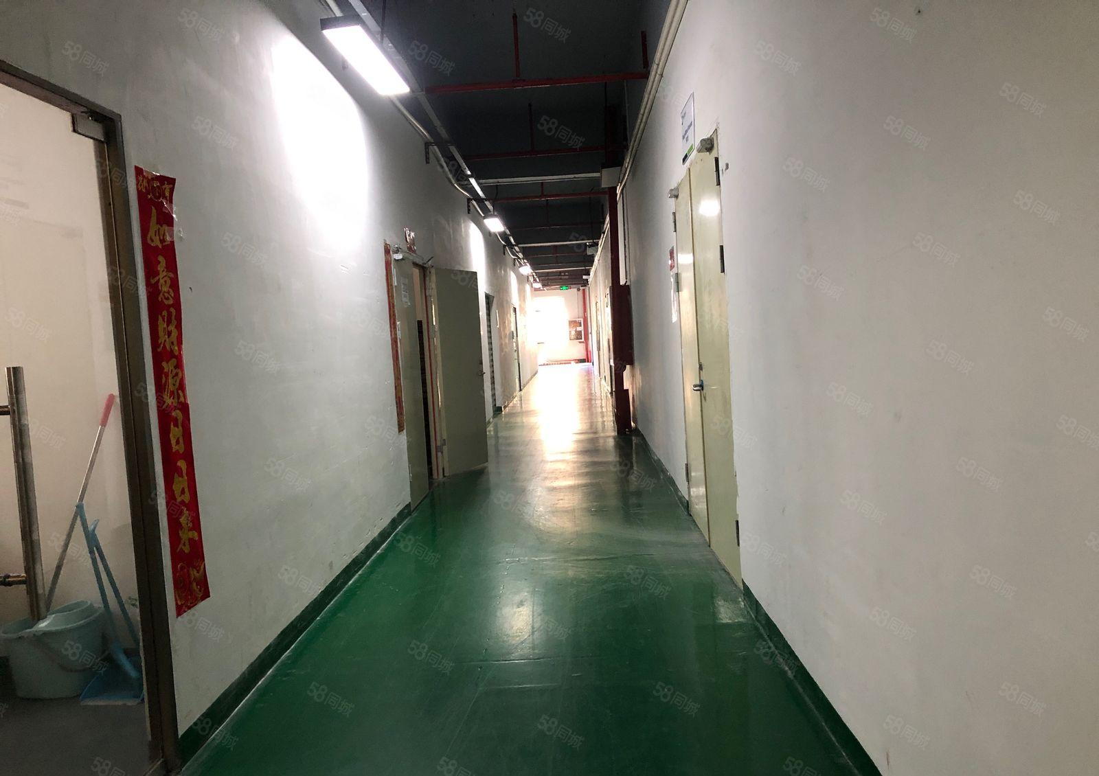 沙井楼上500平精装修厂房出租仓库招租低价出租可分租