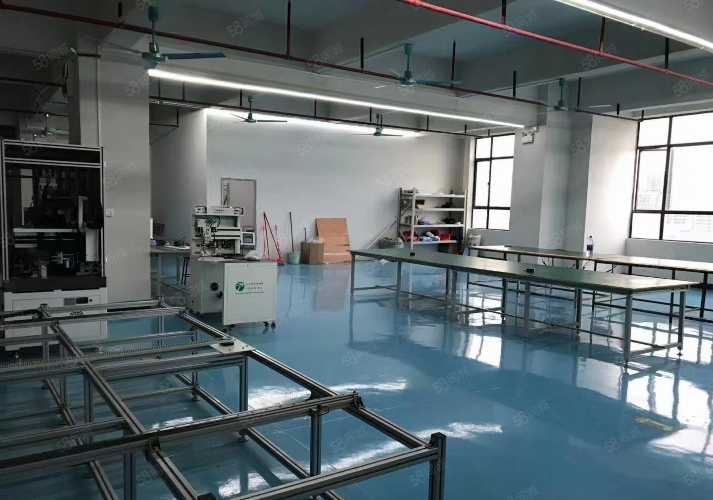 西乡大型工业区原房东1000平带精装修带办公室厂房仓库可分租