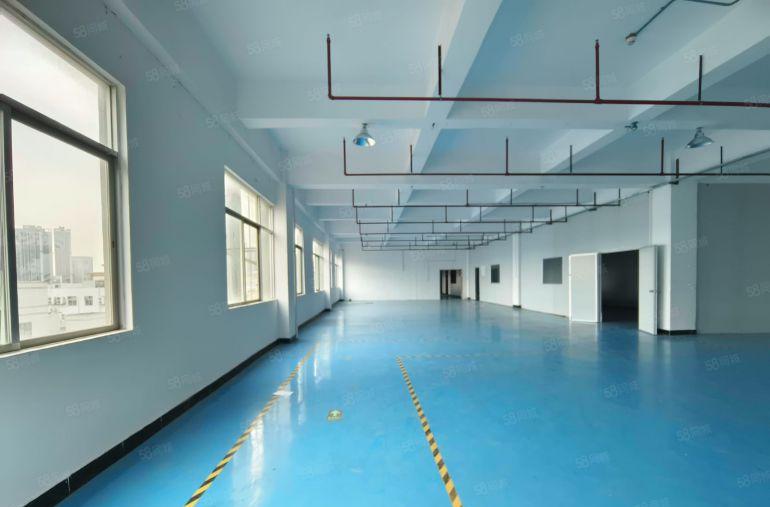 石岩白芒厂房出租独院500平起5000平方精装修电商物流仓库