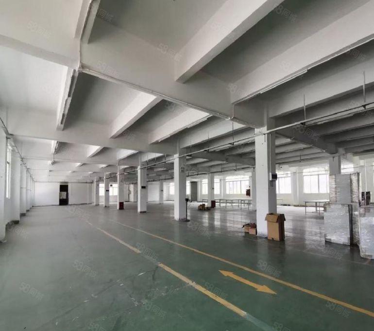 沙井新出1000平至5000平一二楼厂房仓库独院独栋大小出租