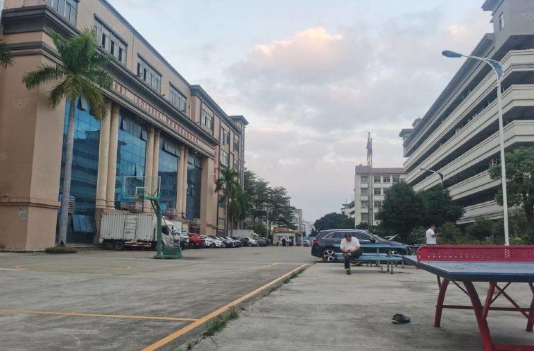 200起租沙井车站附近独院15000平带装修带红本过环评