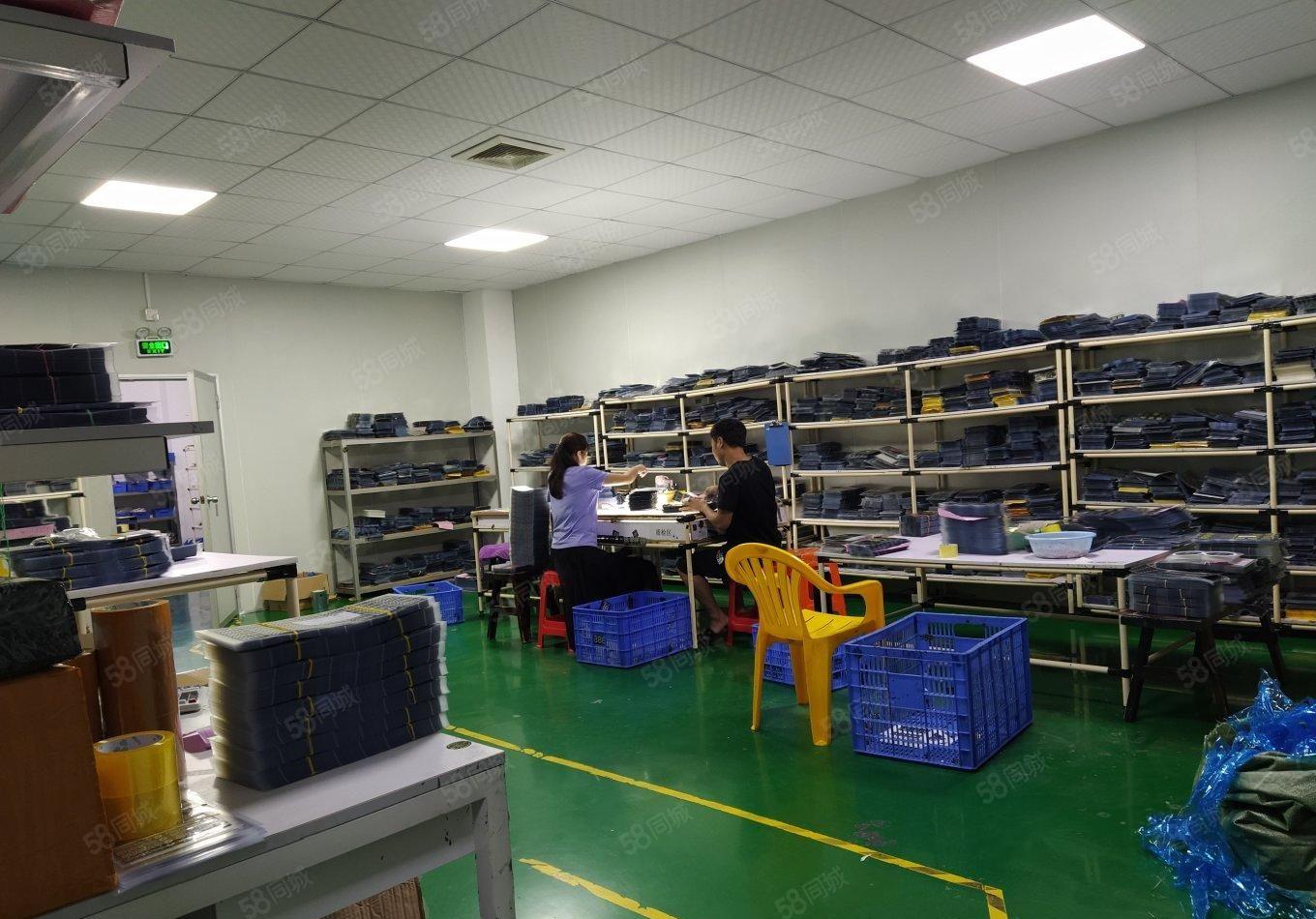 沙井新桥高速路口工业园新出楼上1000平精装厂房，精装修