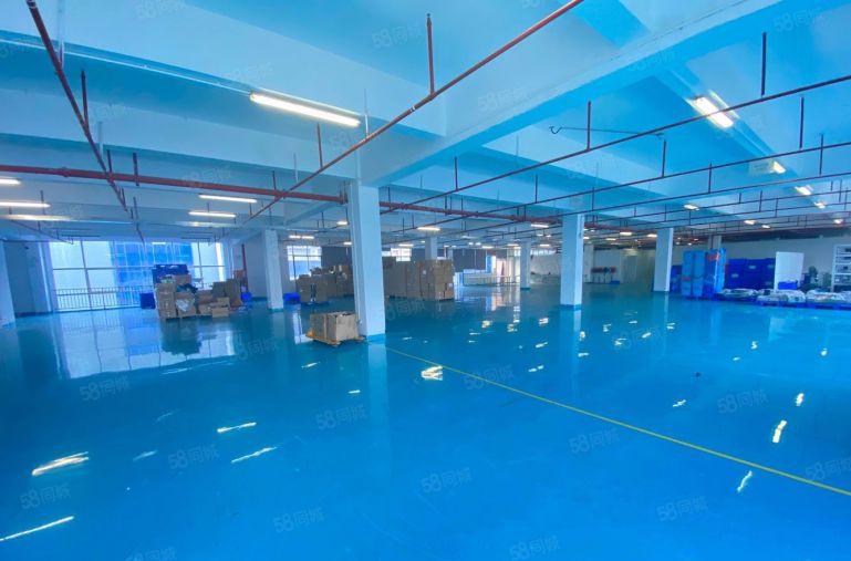 宝安工业园原房东带装修红本厂房出租办公研发生产仓库出租可分租