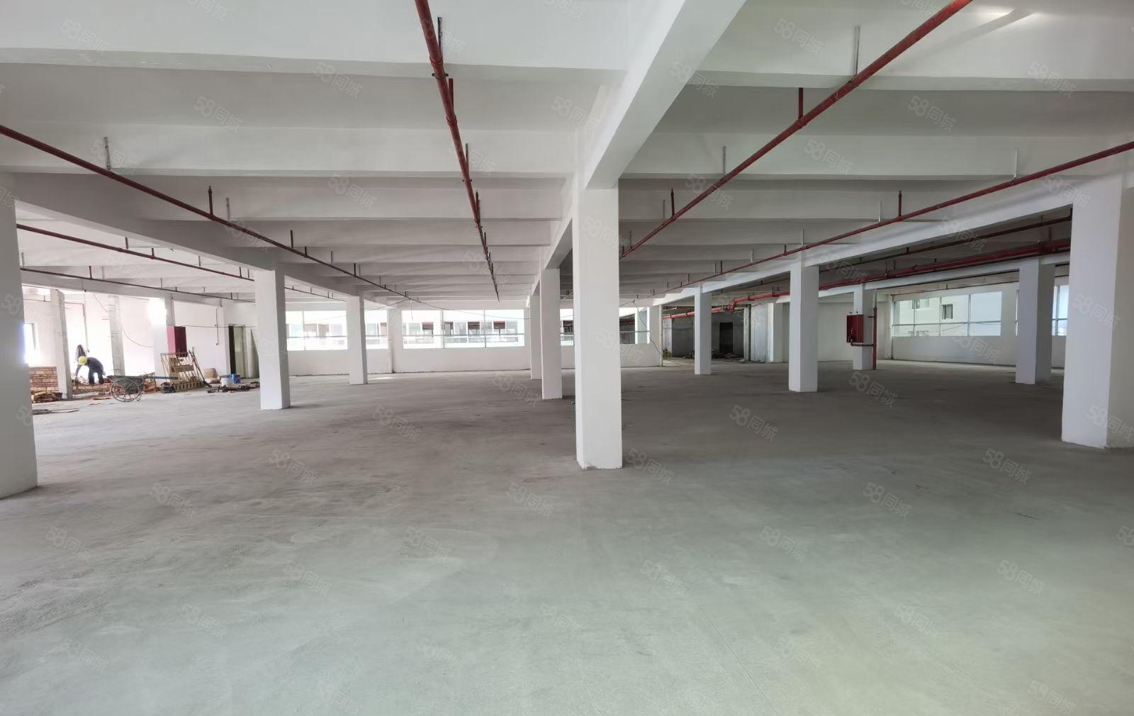 沙井益华电子城附近新出独门独院5600平方出租，业主直租