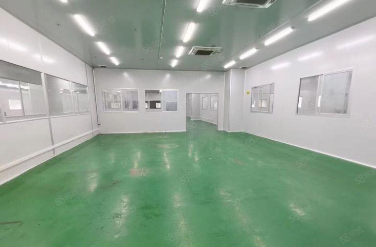 200平起租松岗地铁口附近独院12000平厂房招租红本过环评